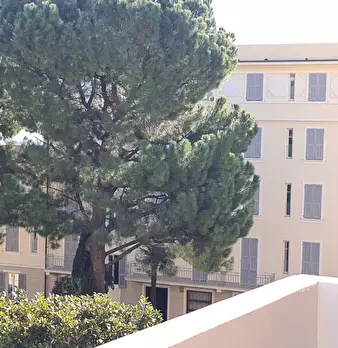 Foto annuncio 13