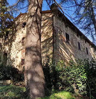 Foto annuncio 6
