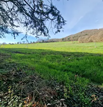 Foto annuncio 64