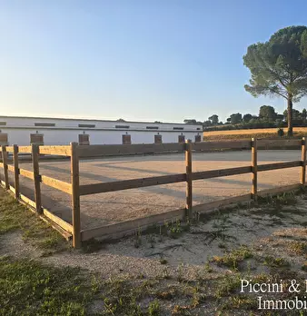 Foto annuncio 58