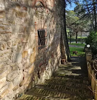 Foto annuncio 66