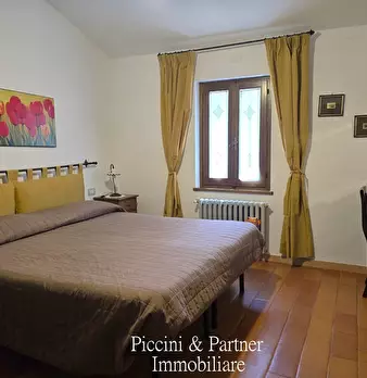 Foto annuncio 55