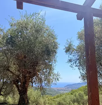 Foto annuncio 23