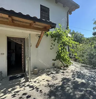 Foto annuncio 68