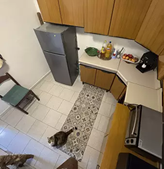 Foto annuncio 37