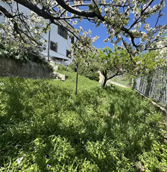 Foto annuncio 6