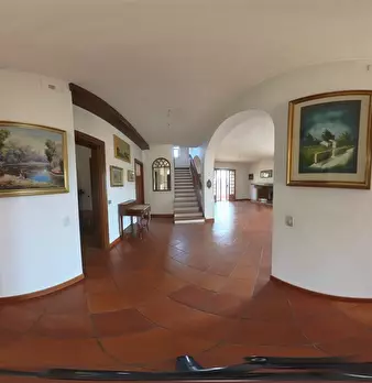 Foto annuncio 73