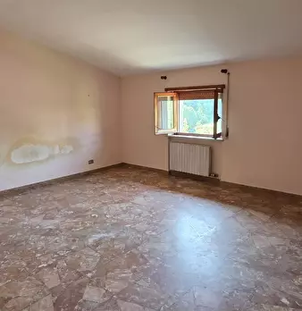 Foto annuncio 53