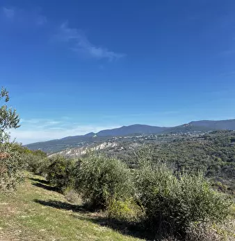 Foto annuncio 87