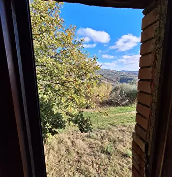 Foto annuncio 116
