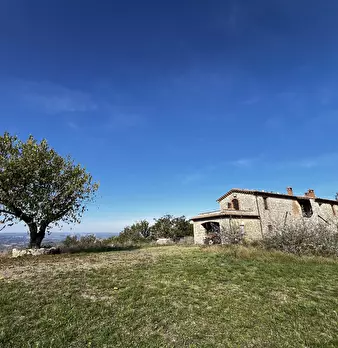 Foto annuncio 44