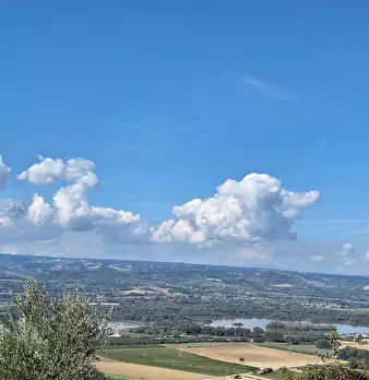 Foto annuncio 76