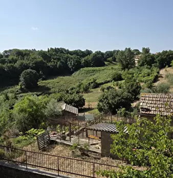 Foto annuncio 45