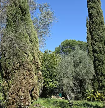 Foto annuncio 7