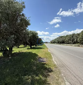 Foto annuncio 1
