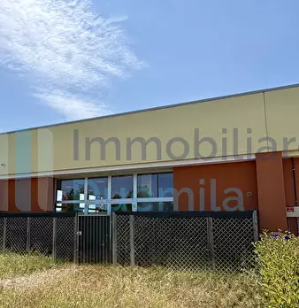 Foto annuncio 28