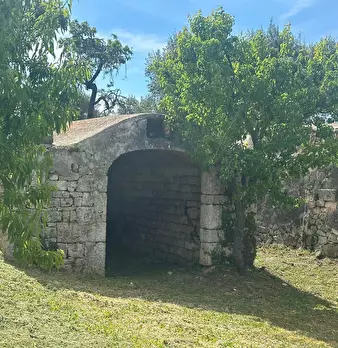 Foto annuncio 14