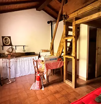 Foto annuncio 10