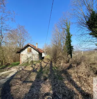 Foto annuncio 26
