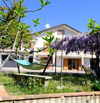 Foto annuncio 13