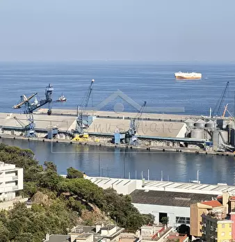 Foto annuncio 36