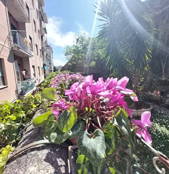 Foto annuncio 2