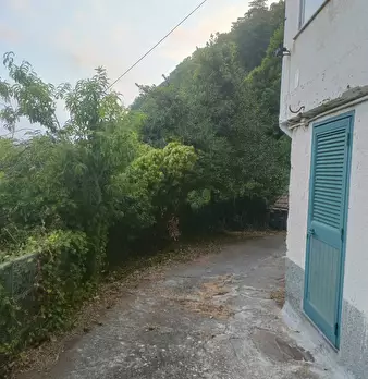 Foto annuncio 37