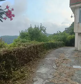 Foto annuncio 38