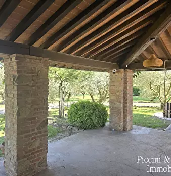 Foto annuncio 71