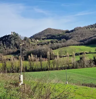 Foto annuncio 65