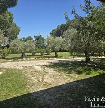Foto annuncio 73