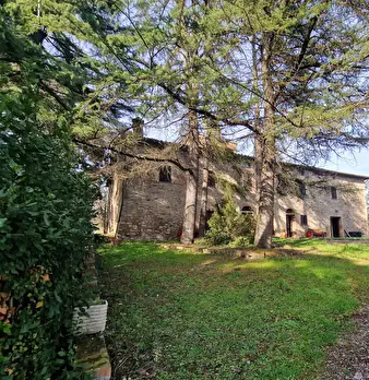 Foto annuncio 3