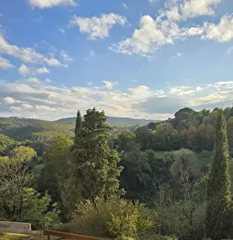 Foto annuncio 57