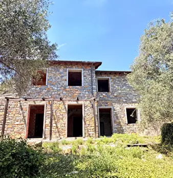 Foto annuncio 10
