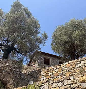 Foto annuncio 27