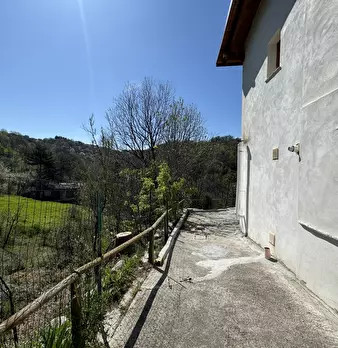 Foto annuncio 54