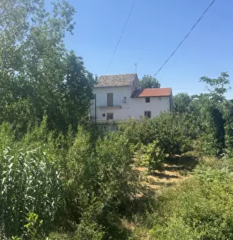 Foto annuncio 36
