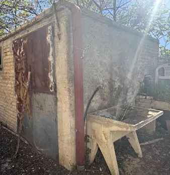 Foto annuncio 30
