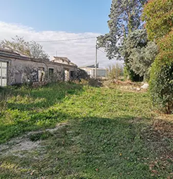 Foto annuncio 83
