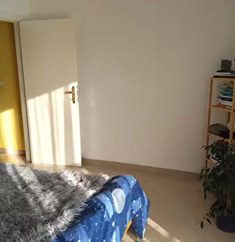 Foto annuncio 13