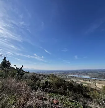 Foto annuncio 82