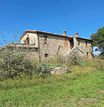 Foto annuncio 1