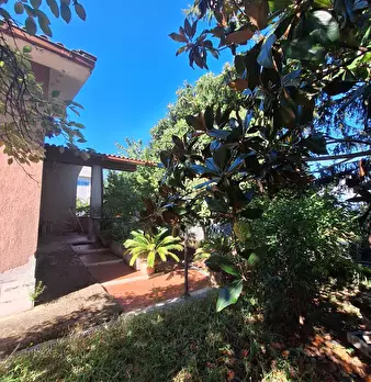 Foto annuncio 5