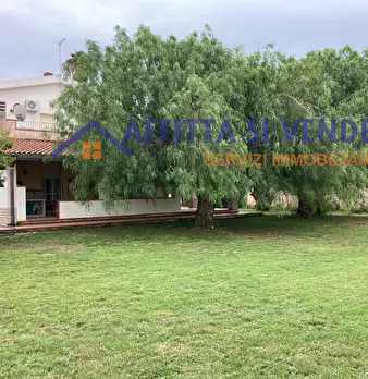 Foto annuncio 11
