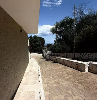 Foto annuncio 28