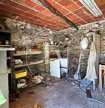 Foto annuncio 29