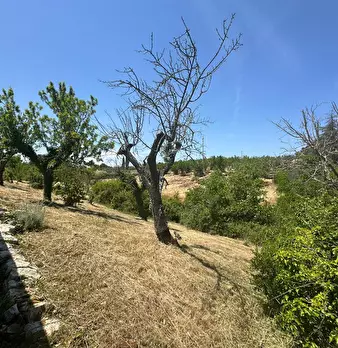 Foto annuncio 23