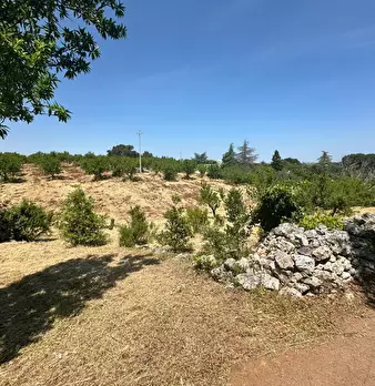 Foto annuncio 20