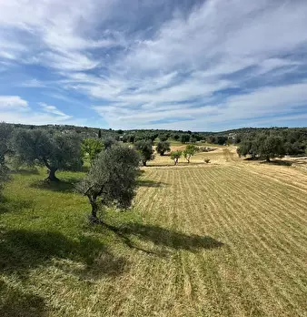 Foto annuncio 21