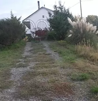 Foto annuncio 10